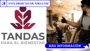 Tandas del Bienestar 2026: Cómo solicitar el crédito de 6,000 a 20,000 pesos